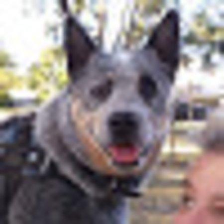 photo of geoffbB2938DL