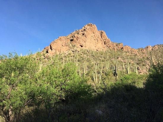 Ventana Canyon Hiking Trail