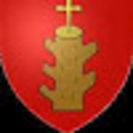 Photo of youthgoes
