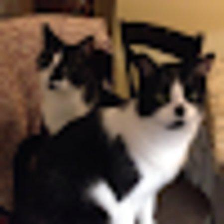 photo of vickimcd1522