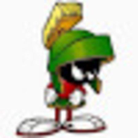 photo of T2413ZLchrisp