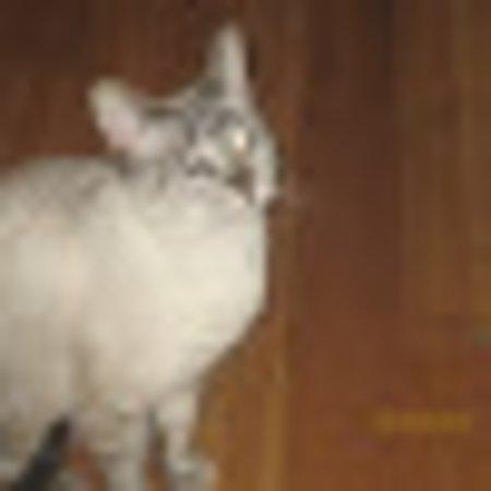 Photo of 505joannae