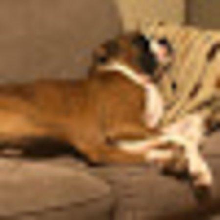 Photo of Aiden S