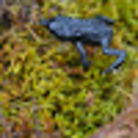 photo of LondonDexter