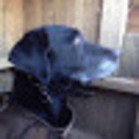 photo of chriswI65707