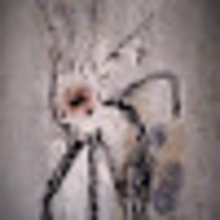 photo of aeileenr