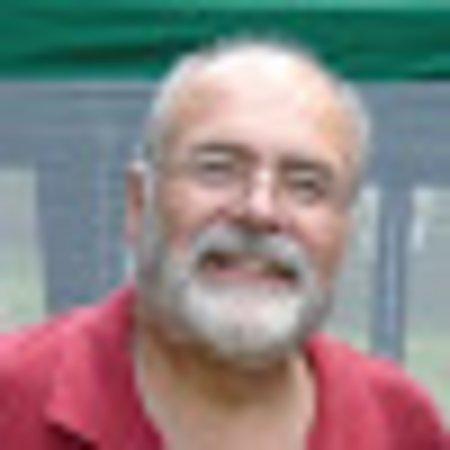 photo of Shorebird483