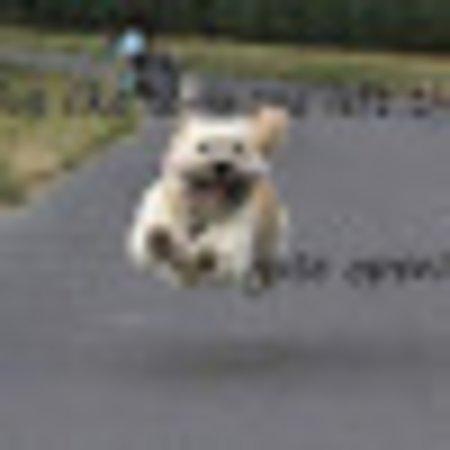 Photo of Sherry P