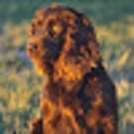 Photo of I9605IRjenniferw