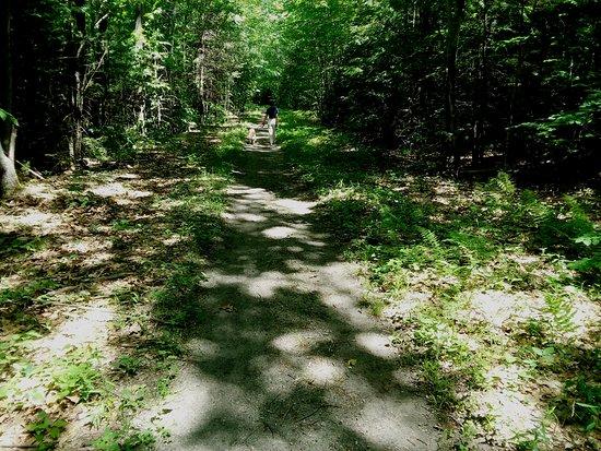 Cheshire Recreational Rail Trail