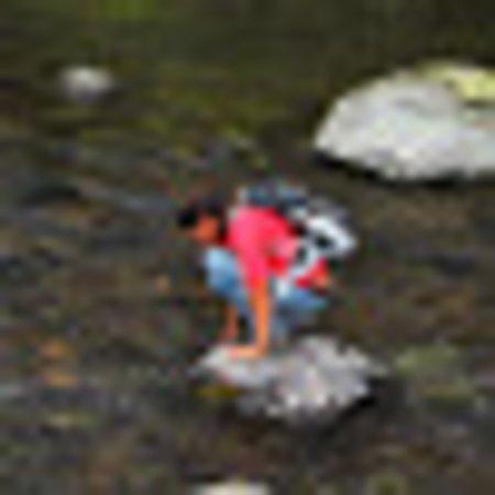 Photo of badgergal123