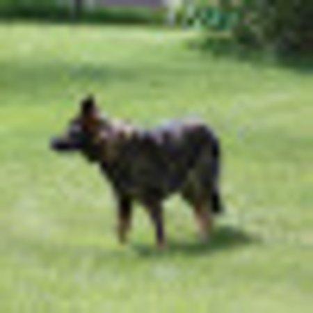 Photo of Mike k