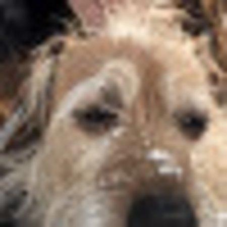 Photo of SalemTurner