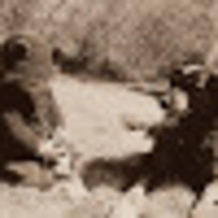 photo of laurah133130