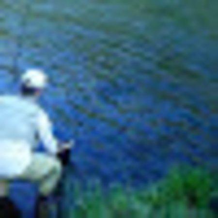 photo of davebE9781SC