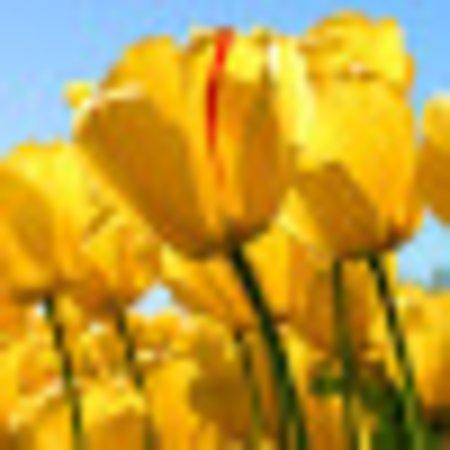 Photo of Heather K