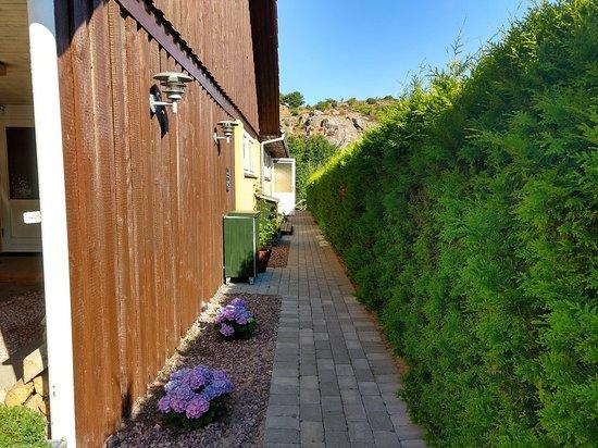 Pension Hammerknuden