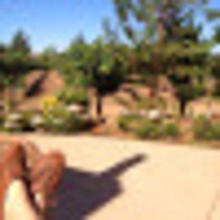 Photo of 467shannong