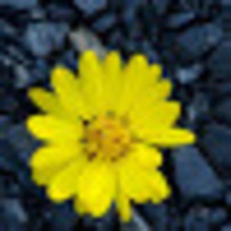 Photo of 52RobertM