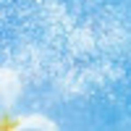 photo of katherinecR7221PP