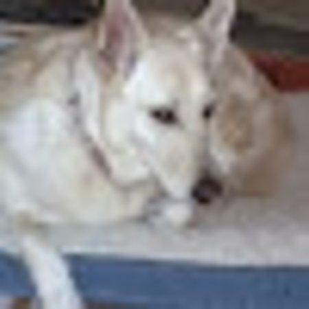 Photo of Stephanie S