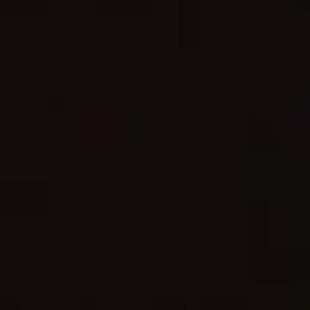 photo of food_fan009