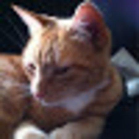 photo of SoloOver50Traveler