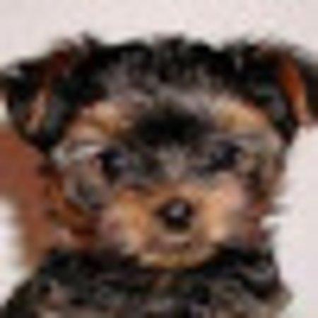 photo of Shirley W