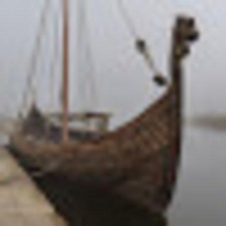 photo of P7246VRstevec