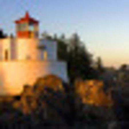 Photo of Ama1019