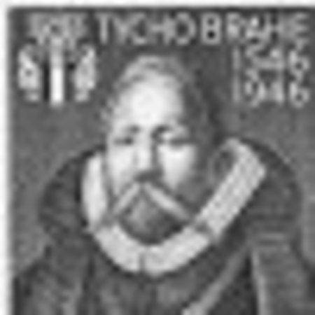 photo of Companion819759