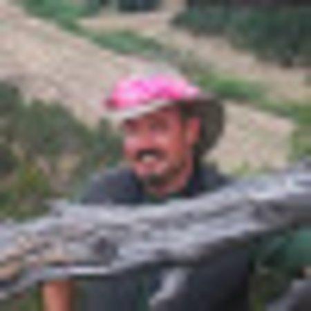 Photo of Paul K