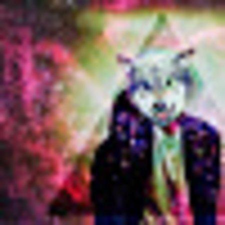 photo of X8035LQkatiem