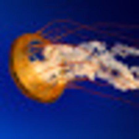 photo of alexandramT8035DF