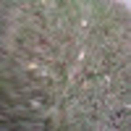 photo of brendamA8687XZ