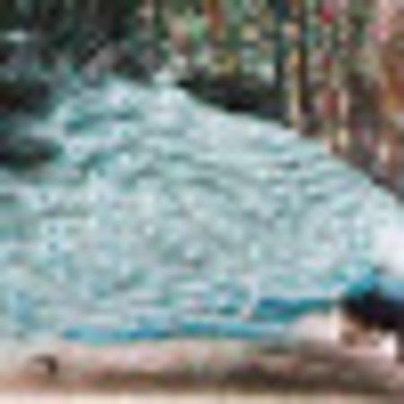 Photo of homebodyCuernavaca