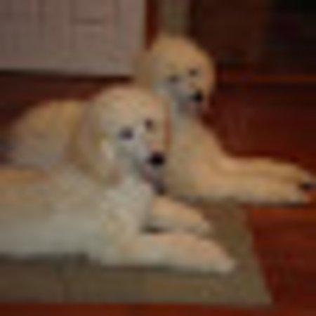photo of Vicki S