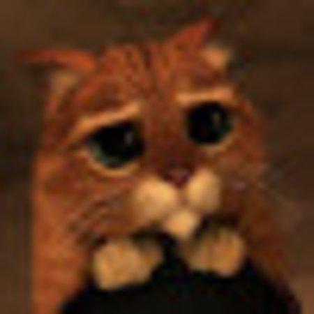 photo of antonlR4985RJ