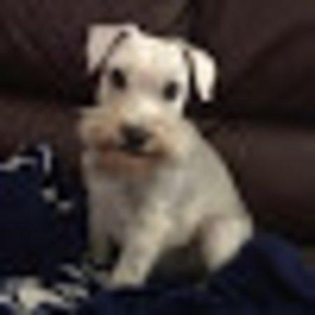 photo of markinmustang