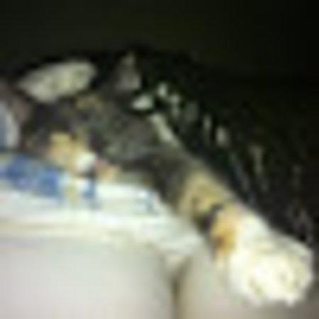 photo of Mellowjosefo