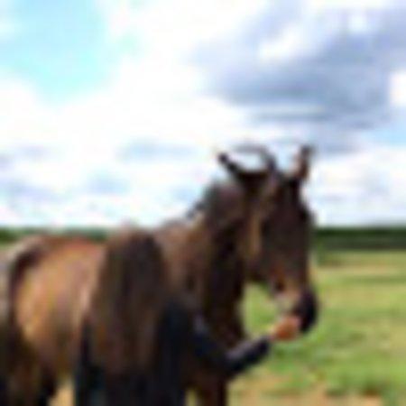 photo of muskovszky72