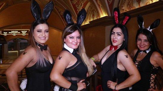 Platinum Status Party Tours