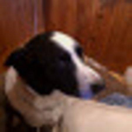 photo of NDBNDBNDB1