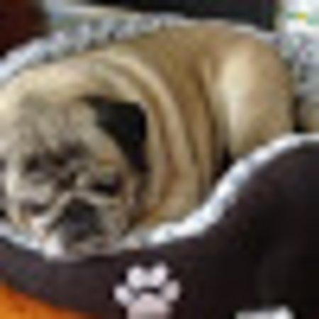 photo of D9237ZBsimoneg