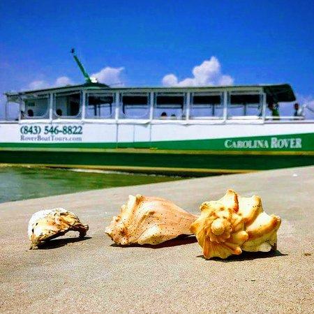 Rover Boat Tours - Carolina Rover