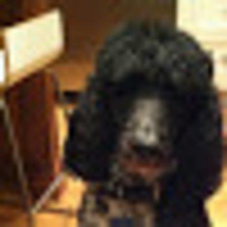 Photo of Grace M