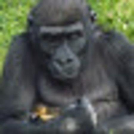 Photo of Paul F