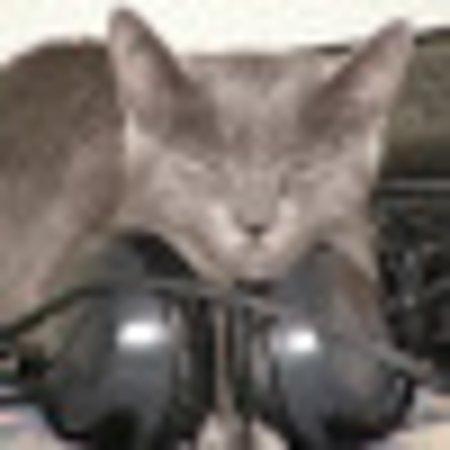 Photo of Stephen C