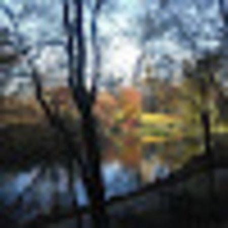 photo of Travelerfromwest