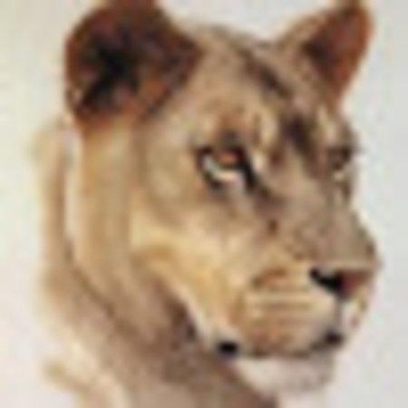 Photo of Robin A